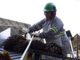 BBF emite mais de R$133 milhões em debêntures