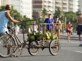 Taxa de desemprego fica em 7,9% no trimestre encerrado em dezembro