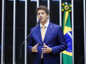 Tragédia no litoral norte de SP une Tabata Amaral a Ricardo Salles