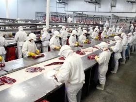 Minerva Foods registra prejuízo de R$ 25,7 milhões no 4º trimestre