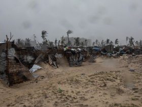 ONU entra em alerta máximo face ao ciclone Freddy