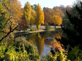 Cabeça de mulher esquartejada é encontrada em parque em área nobre de Paris