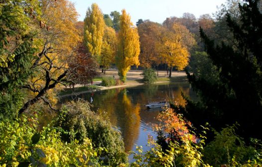 Cabeça de mulher esquartejada é encontrada em parque em área nobre de Paris