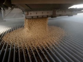 Exportação de grãos recua com possibilidade de fim do acordo com Rússia