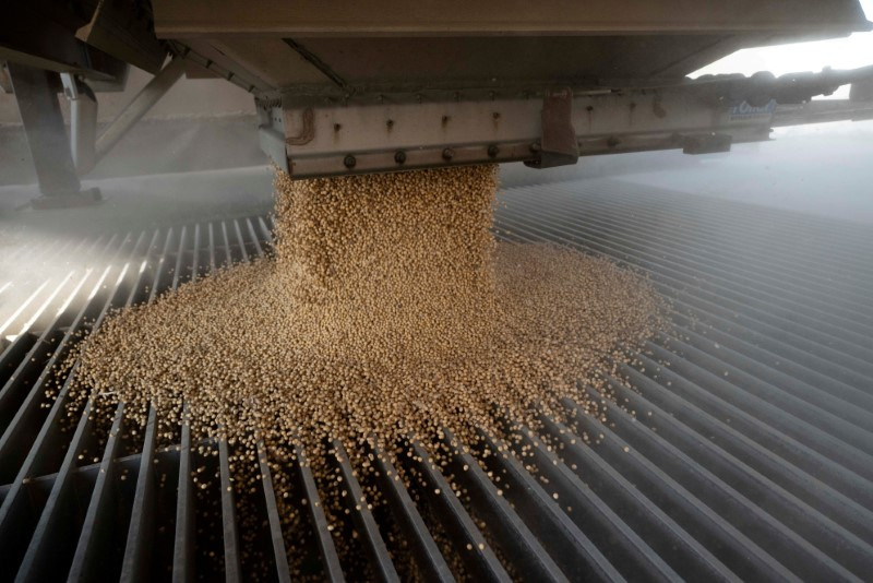 Exportação de grãos recua com possibilidade de fim do acordo com Rússia