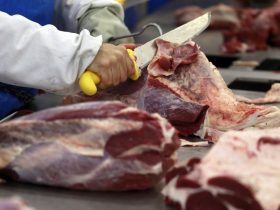 Brasil poderá exportar carne bovina para o México