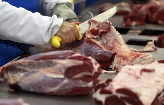 Brasil poderá exportar carne bovina para o México