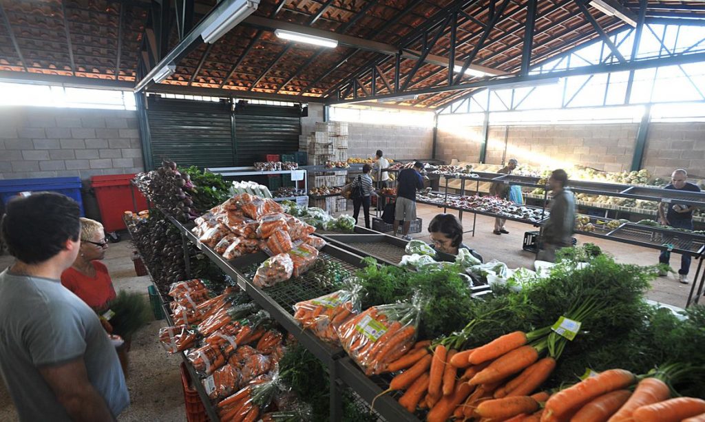 Preços da batata, cebola e tomate têm queda no atacado em fevereiro