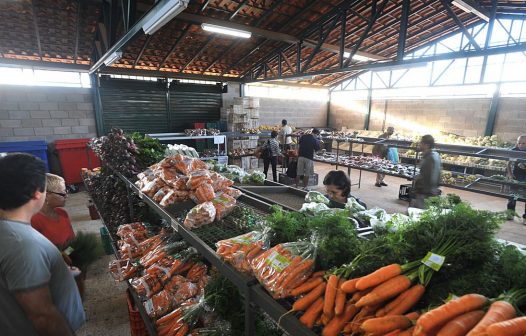 Preços da batata, cebola e tomate têm queda no atacado em fevereiro