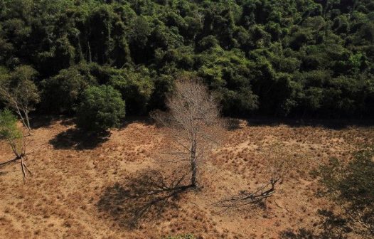 Brasil registra alta na emissão de gases de efeito estufa