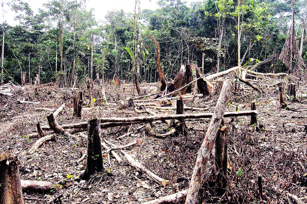 Desmatamento na Amazônia e Cerrado cresce e bate recorde em fevereiro