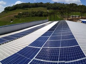 <strong>Empresa de energia solar registra crescimento de 60% em 12 meses </strong>