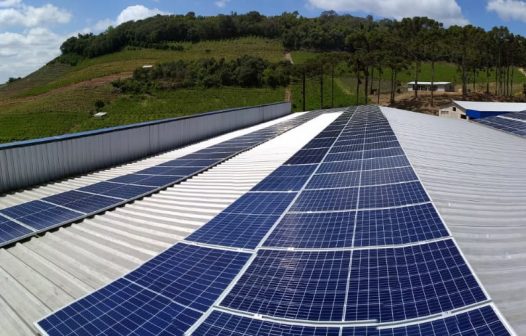 <strong>Empresa de energia solar registra crescimento de 60% em 12 meses </strong>