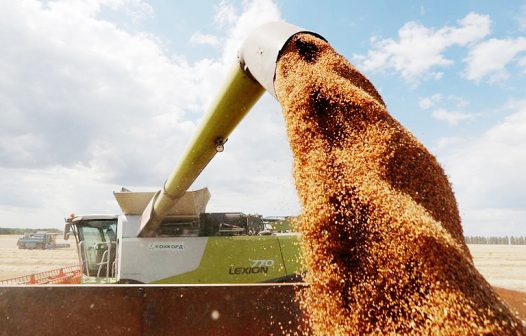 Índice de Preços de Alimentos da FAO recua pelo 11º mês consecutivo