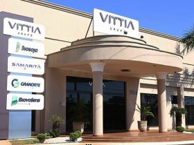 Lucro do Grupo Vittia sobe 15,2% e atinge R$ 49,3 milhões