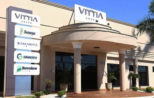 Lucro do Grupo Vittia sobe 15,2% e atinge R$ 49,3 milhões