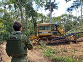 Ibama e PRF desmontam mais de 190 acampamentos na TI Yanomami