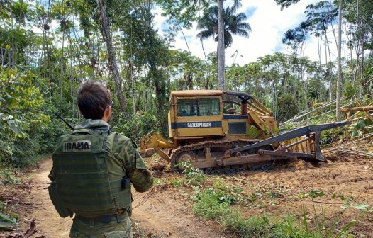 Ibama e PRF desmontam mais de 190 acampamentos na TI Yanomami