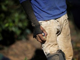 Juristas pedem expropriação de terras de quem explora trabalho escravo