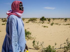 Níger quer adesão ao acordo de partilha de água no continente africano