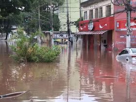 Prefeitura de São Paulo avalia derrubar muro que agrava problemas de enchente