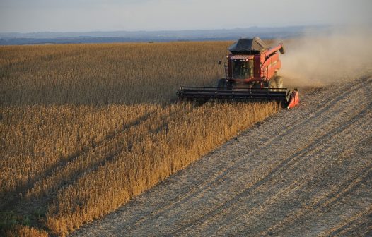 SLC Sementes e Kothe Agro inauguram indústria de beneficiamento de sementes de soja em MT