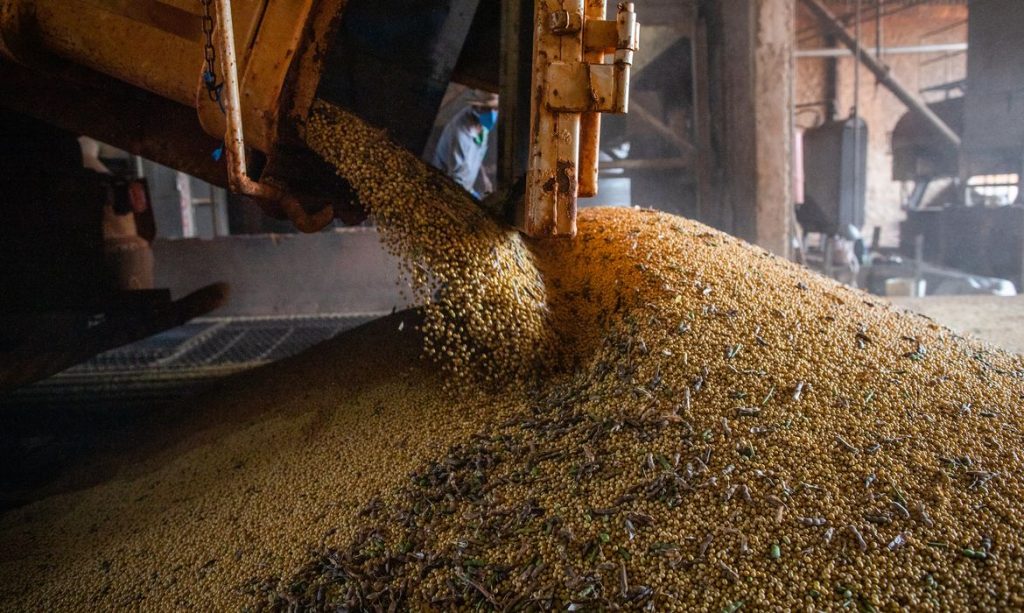 Soja impulsiona em 20,6% a produção de grãos na safra