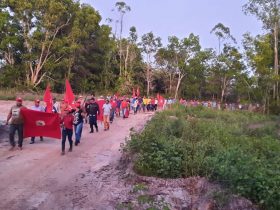 MST invade fazendas da Suzano na primeira onda de ações no novo governo Lula