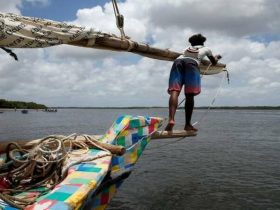 Lixo reciclado de lago se torna barco de turismo