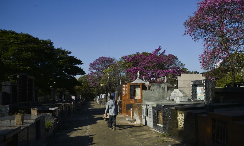 TCMSP vai investigar irregularidades no serviço funerário