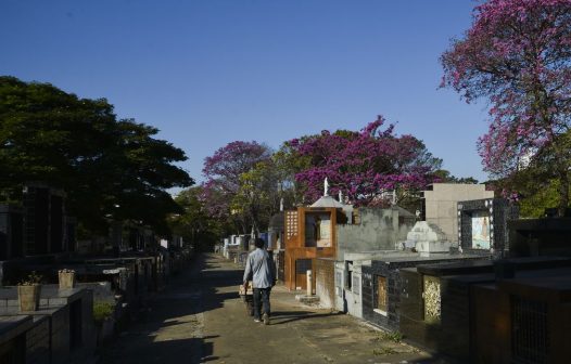 TCMSP vai investigar irregularidades no serviço funerário