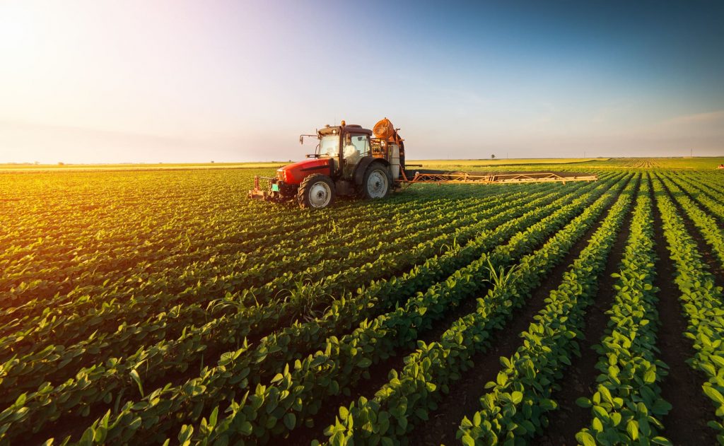 <strong>BrasilAgro escolhe a TIM para levar conectividade 4G a fazendas no Maranhão</strong>