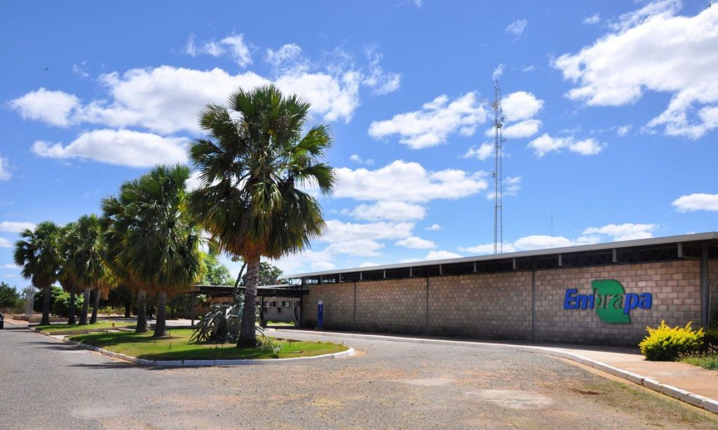 Justiça determina que MST desocupe fazenda da Embrapa em Pernambuco