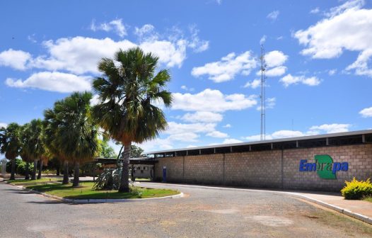 Justiça determina que MST desocupe fazenda da Embrapa em Pernambuco