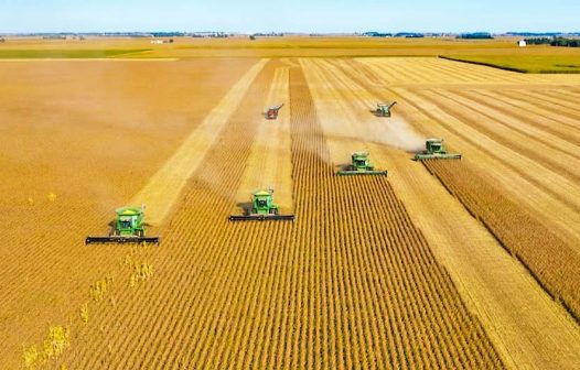 <strong>Economia verde impulsiona inovação no agronegócio brasileiro</strong>