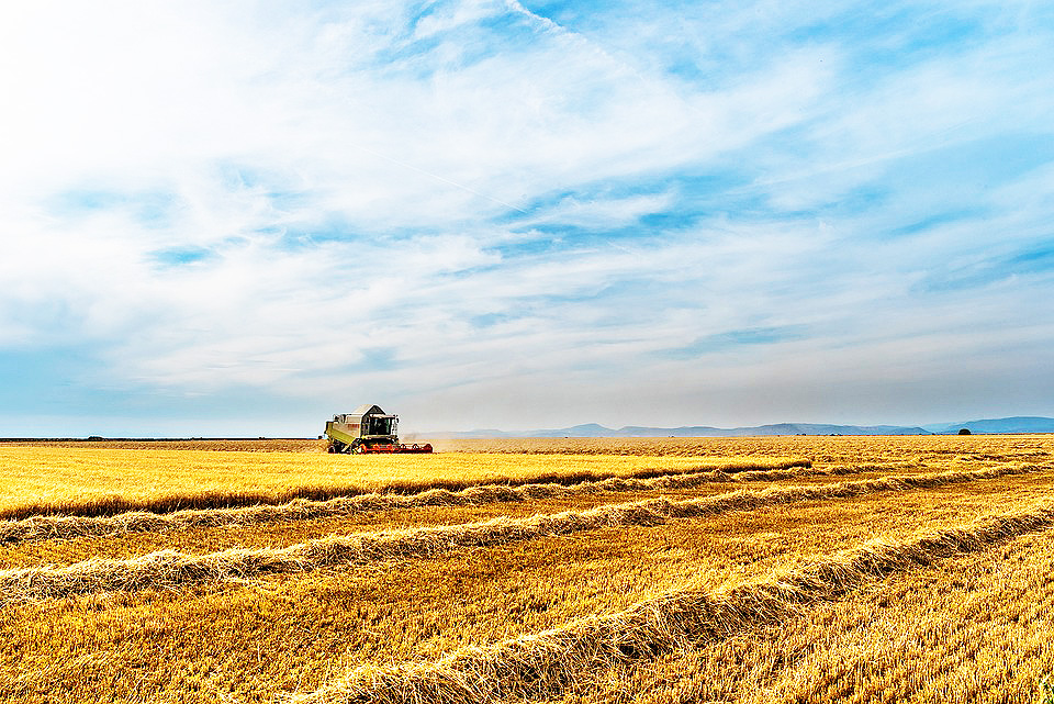 Receita com exportações do agronegócio bate recorde de US$ 50,6 bilhões