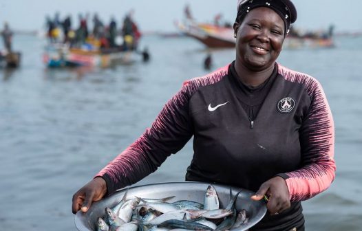 Unctad diz que mercado de pesca pode beneficiar Angola