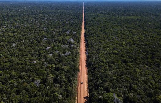 Marina Silva ironiza questionamentos sobre obras da BR-319