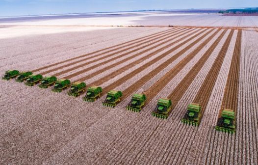 Lucro da SLC Agrícola cai 27,9% e atinge R$ 574,975 milhões