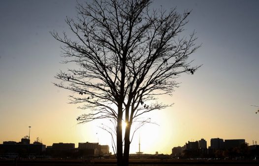 Temperaturas globais devem subir a níveis recordes nos próximos anos