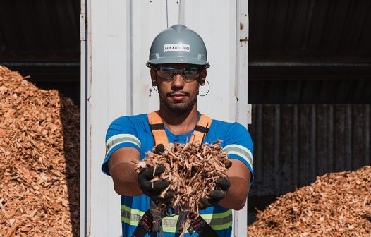 Ypê lança novos produtos da linha Green