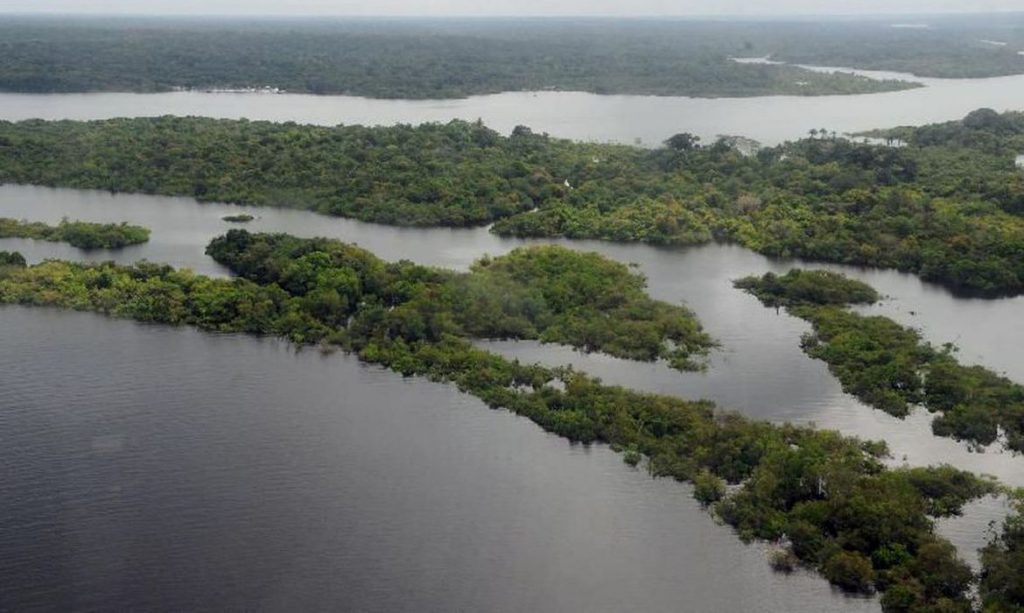 Narcotráfico potencializa destruição ambiental e violação de direitos