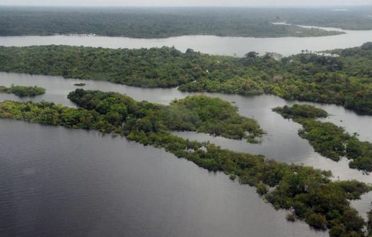 Narcotráfico potencializa destruição ambiental e violação de direitos