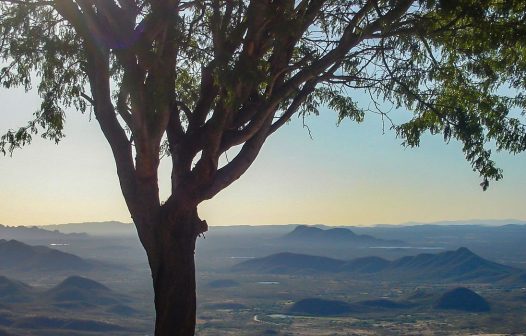 Parque Nacional da Serra do Teixeira é criado na Paraíba