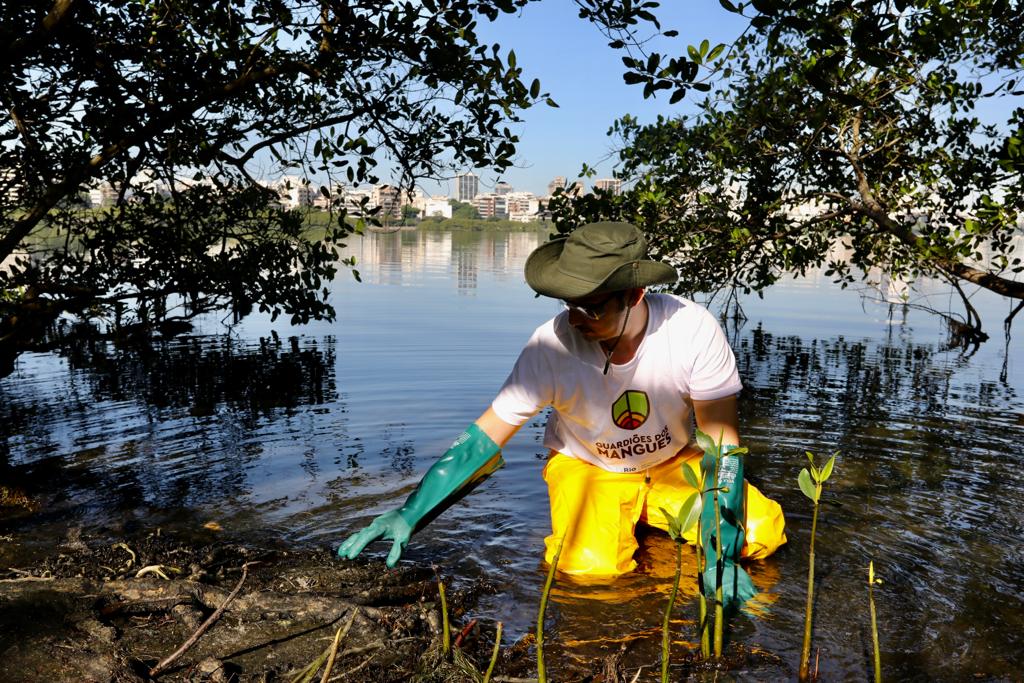 Prefeitura lança programa para recuperar mangues da cidade