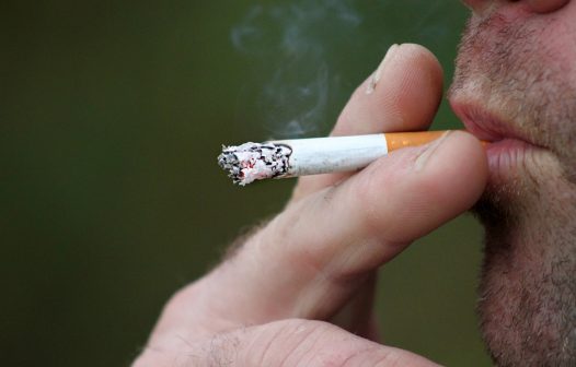 OMS alerta sobre malefícios do tabaco ao meio ambiente