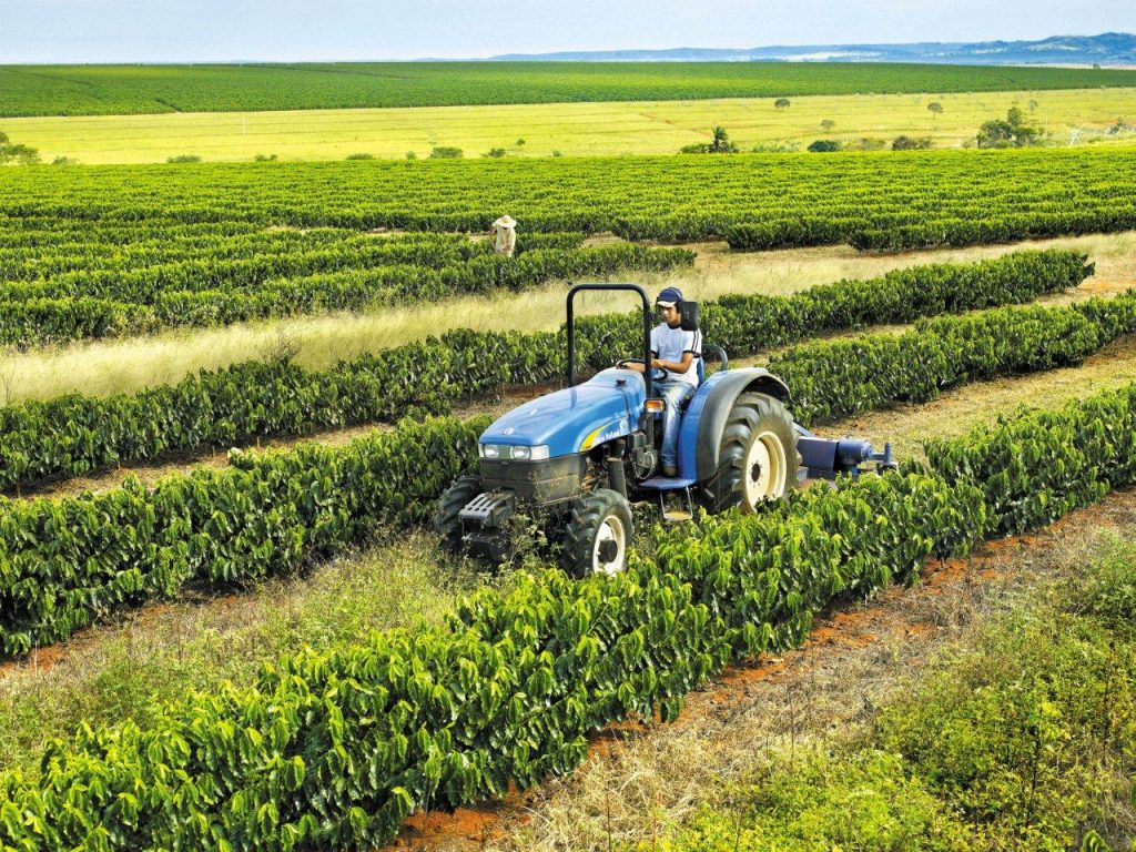 Exportações do agro mineiro alcançam US$ 7 bilhões no 1º semestre