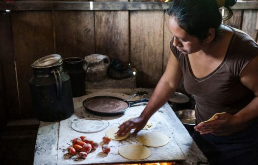 Mundo precisa superar sistema alimentar falido