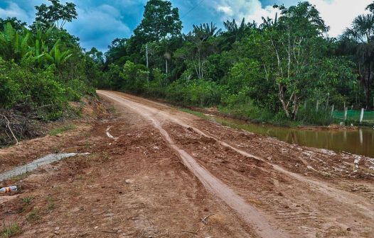 Ambientalistas denunciam desmatamento às margens de rodovia amazônica