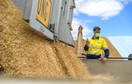 Lucro da Bunge sobe 201,94% e atinge US$ 622 milhões